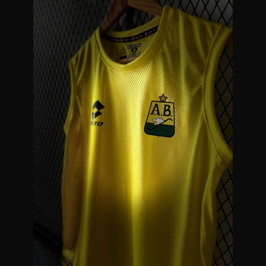 🏆 MUSCULOSA DEL ATLÉTICO BUCARAMANGA🐆